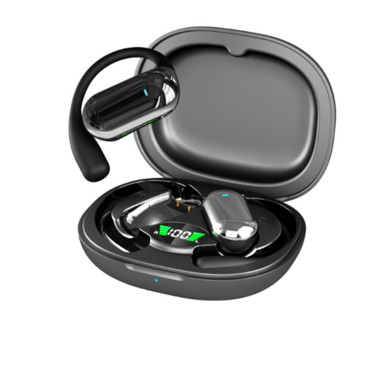 Translation Earbuds